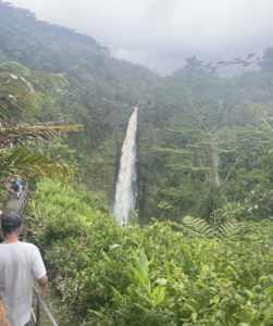 waterfall pouring over lush green landscape